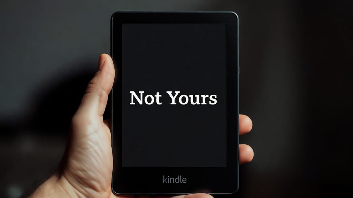 You Own Nothing and They Think It's Funny